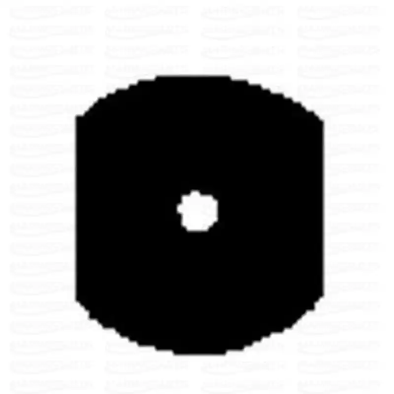 Rea BACKING SHEET